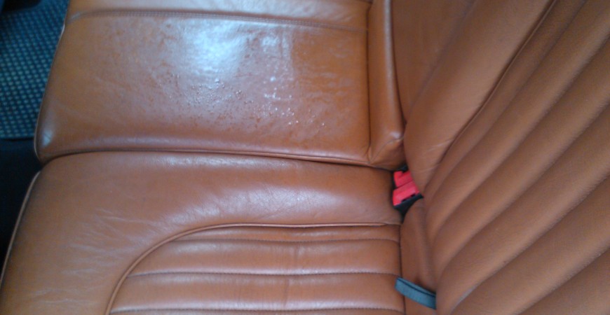 Hagmans Leather Care